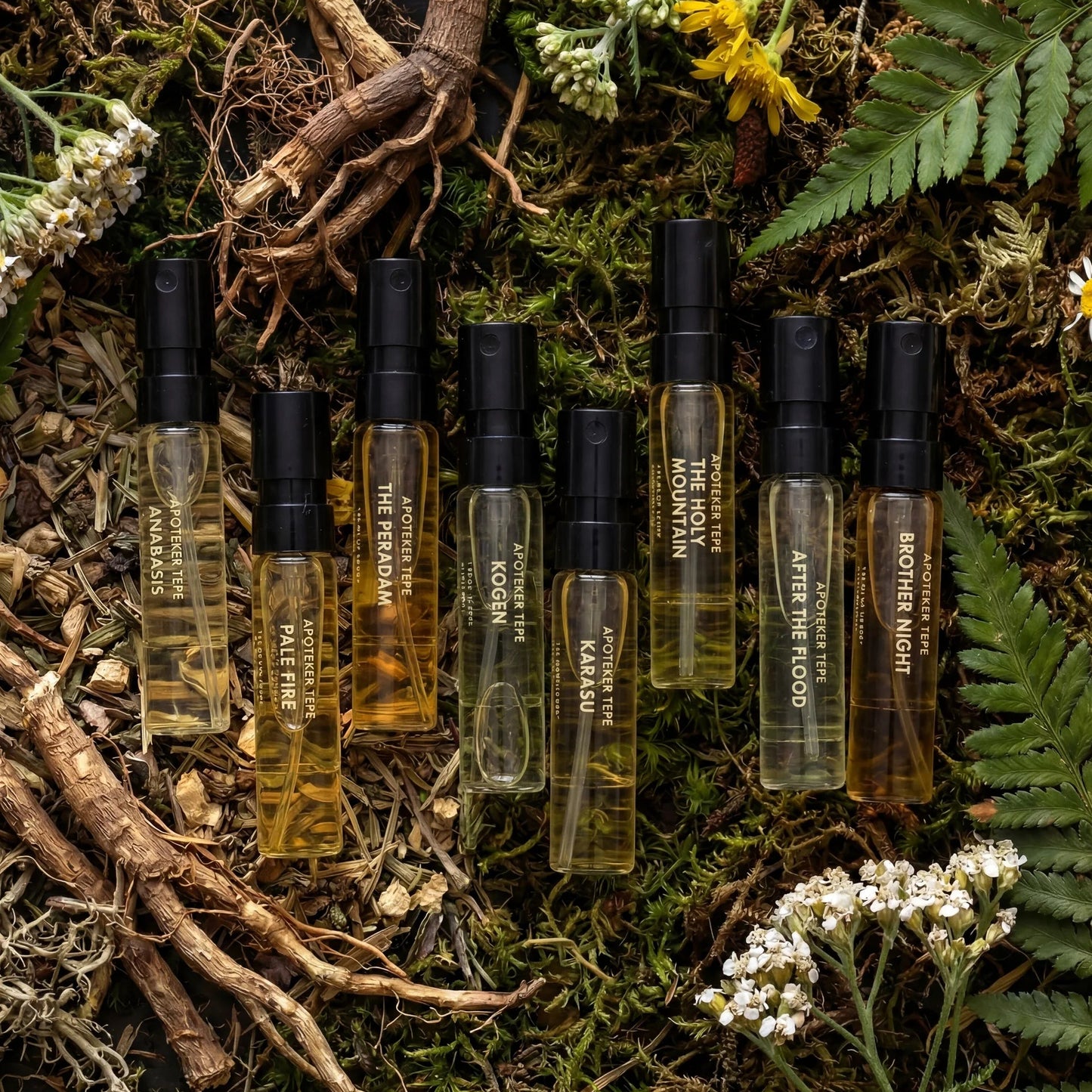 Collection Sample Set